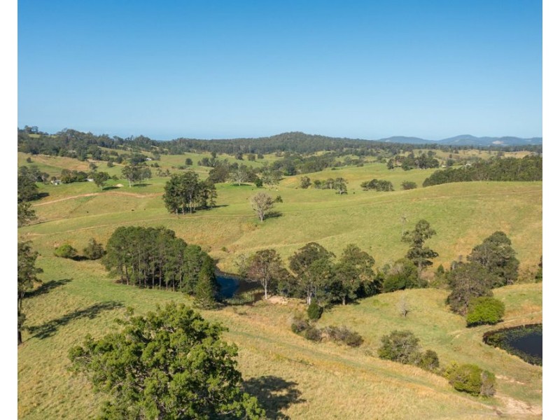 353 Rhones Creek Road, Talarm NSW 2447