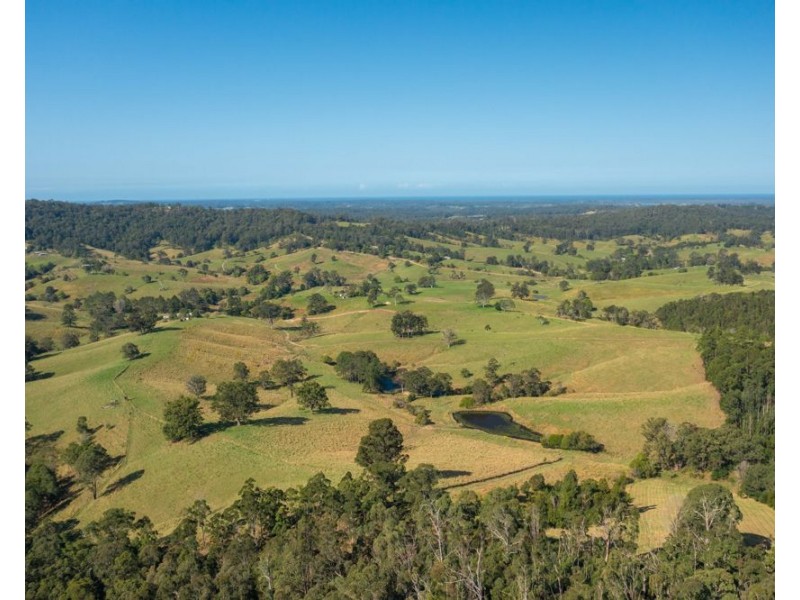 353 Rhones Creek Road, Talarm NSW 2447
