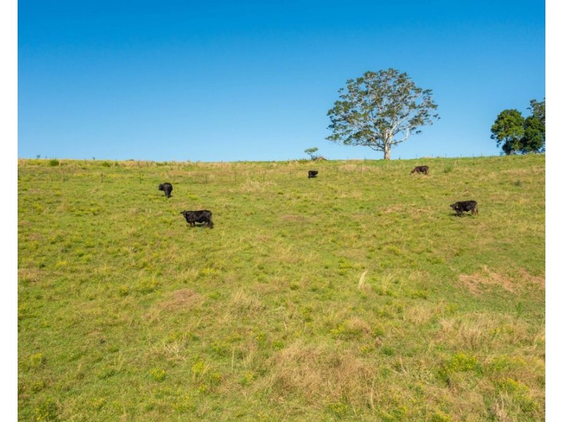 353 Rhones Creek Road, Talarm NSW 2447