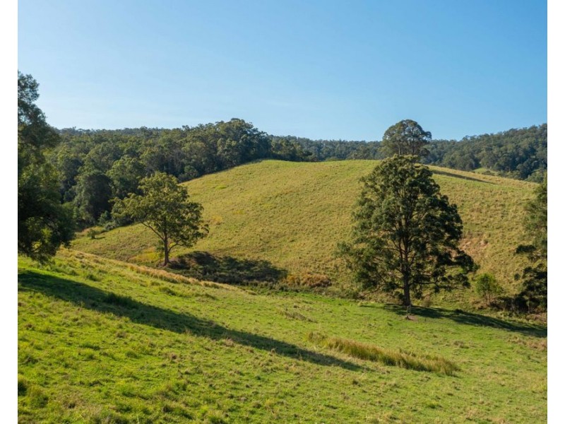 353 Rhones Creek Road, Talarm NSW 2447