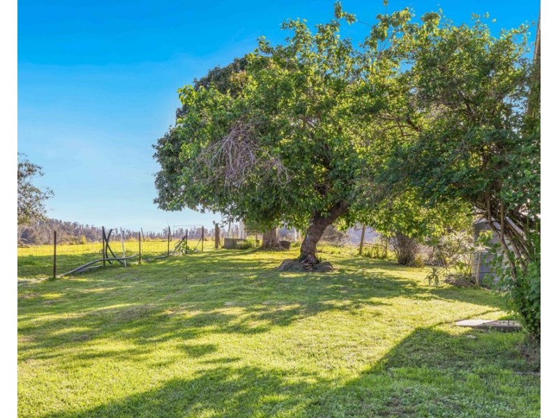 353 Rhones Creek Road, Talarm NSW 2447