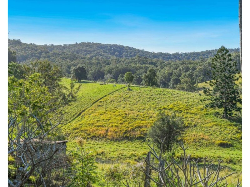 353 Rhones Creek Road, Talarm NSW 2447
