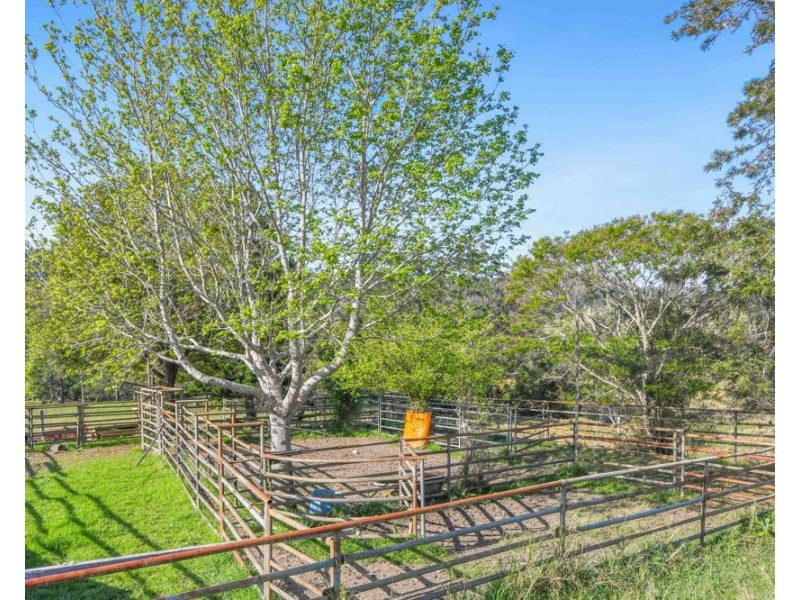 353 Rhones Creek Road, Talarm NSW 2447