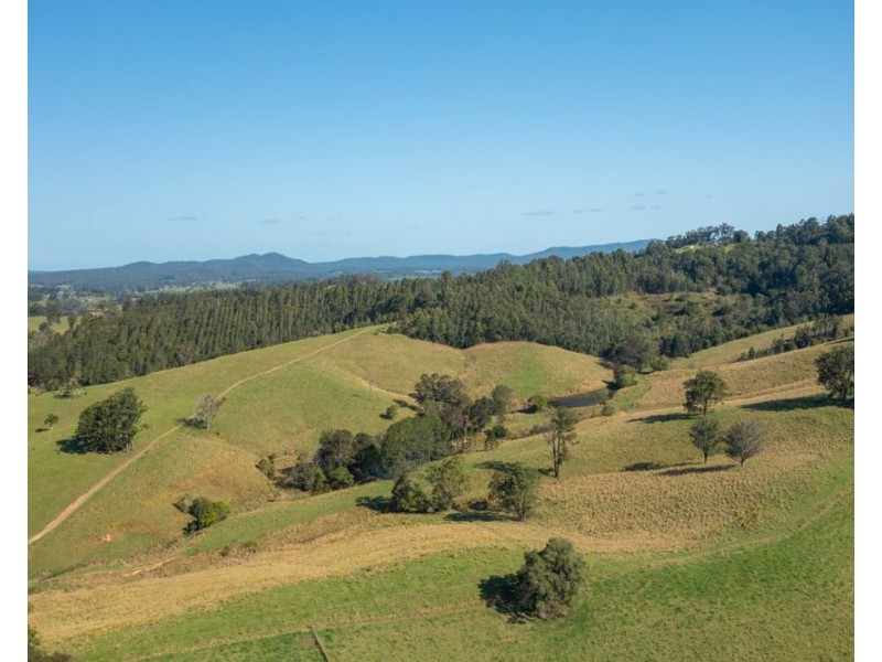 353 Rhones Creek Road, Talarm NSW 2447