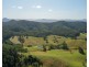 353 Rhones Creek Road, Talarm NSW 2447
