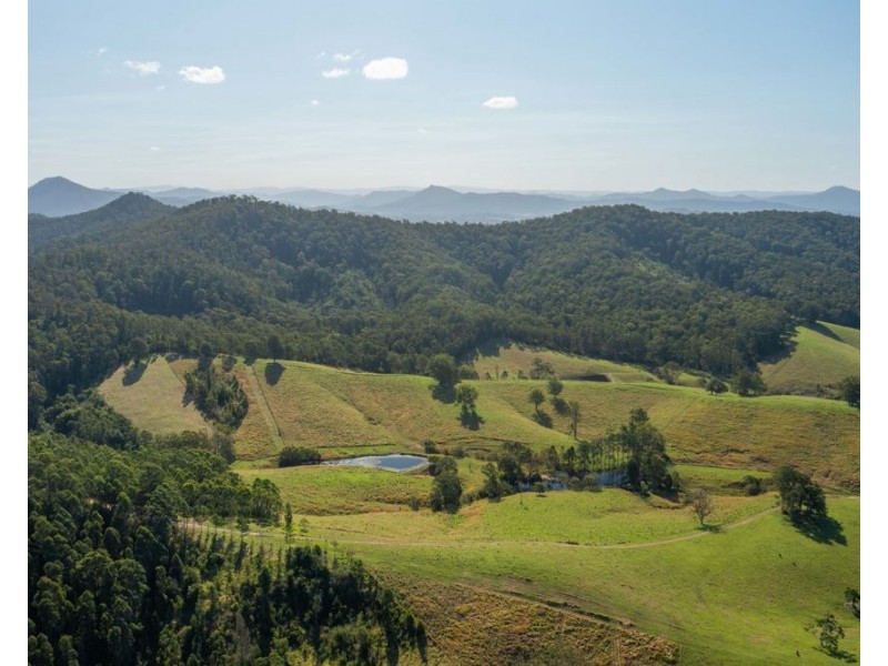 353 Rhones Creek Road, Talarm NSW 2447