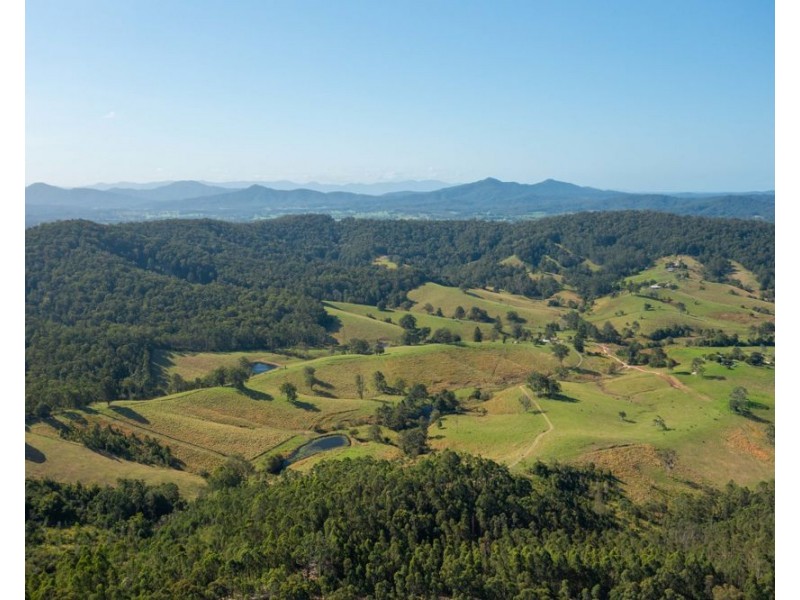 353 Rhones Creek Road, Talarm NSW 2447