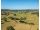 353 Rhones Creek Road, Talarm NSW 2447