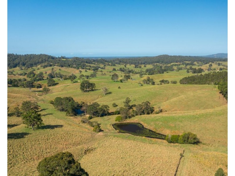 353 Rhones Creek Road, Talarm NSW 2447