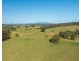 353 Rhones Creek Road, Talarm NSW 2447