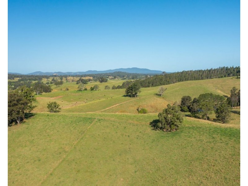 353 Rhones Creek Road, Talarm NSW 2447