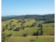 353 Rhones Creek Road, Talarm NSW 2447