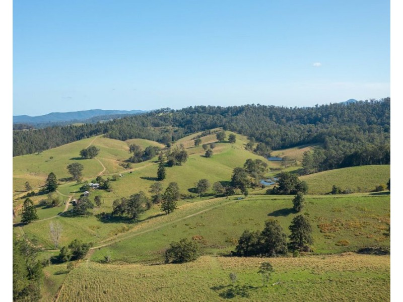 353 Rhones Creek Road, Talarm NSW 2447