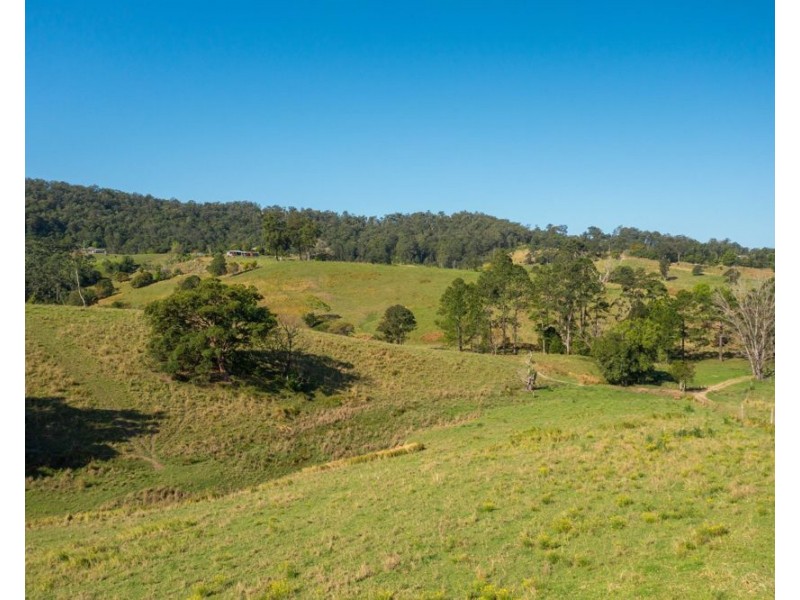 353 Rhones Creek Road, Talarm NSW 2447
