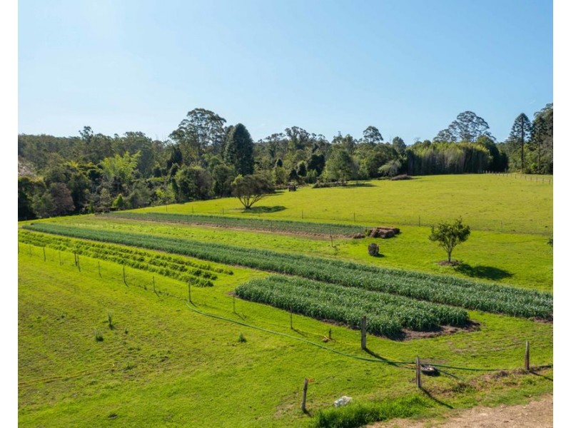 161 Molly Milligan Road, Marlo Merrican NSW 2446