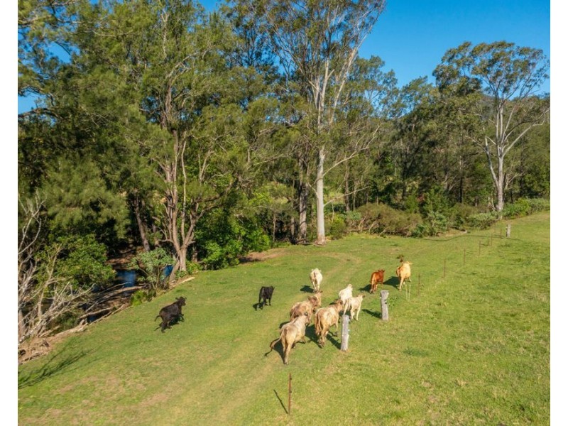 161 Molly Milligan Road, Marlo Merrican NSW 2446