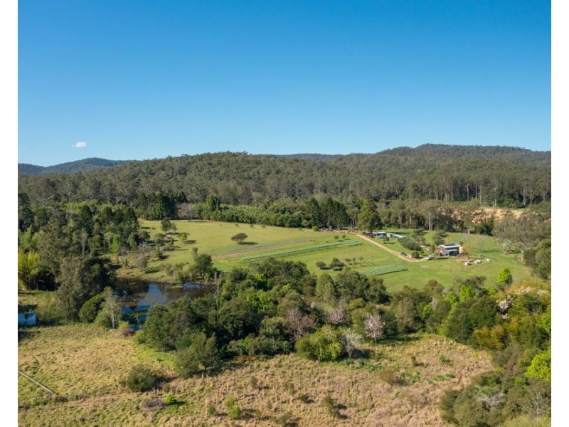 161 Molly Milligan Road, Marlo Merrican NSW 2446