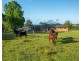 180 Hewens Road, Brombin NSW 2446