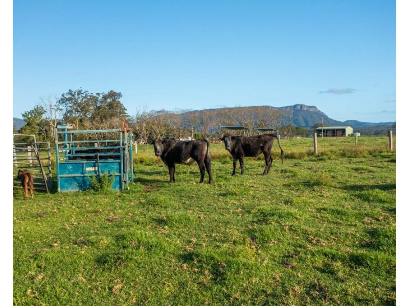 180 Hewens Road, Brombin NSW 2446