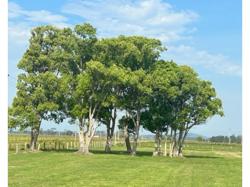 Lot 2 & 4 Barnard St, Gladstone NSW 2440