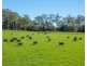 Rollands Plains NSW 2441