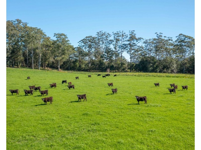 Rollands Plains NSW 2441