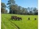 Rollands Plains NSW 2441