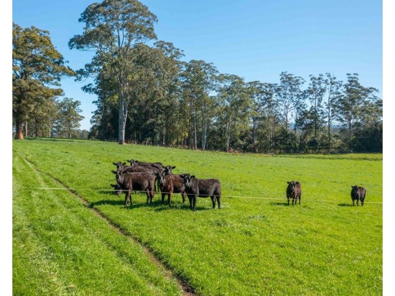 Rollands Plains NSW 2441