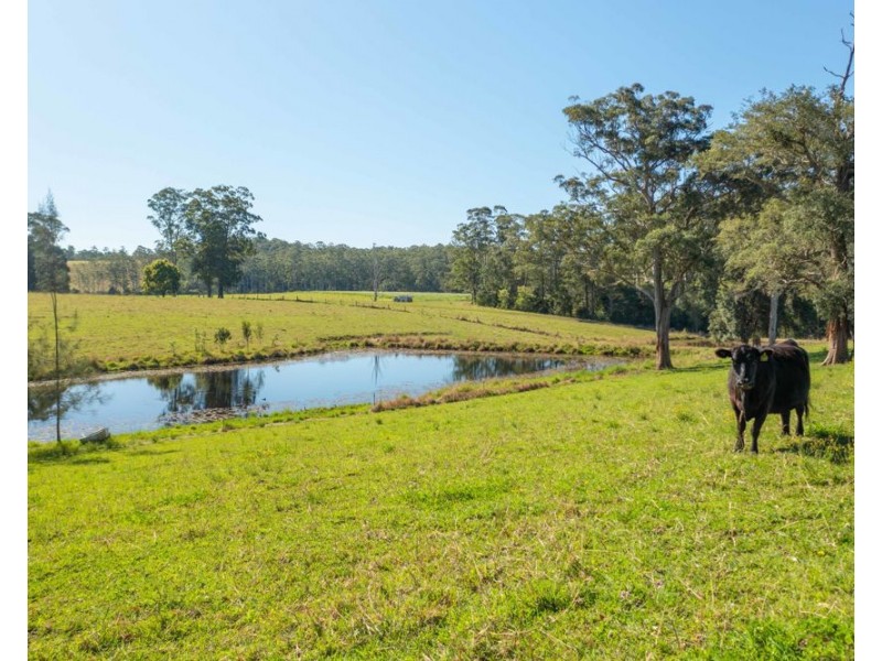 Rollands Plains NSW 2441