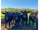 Rollands Plains NSW 2441