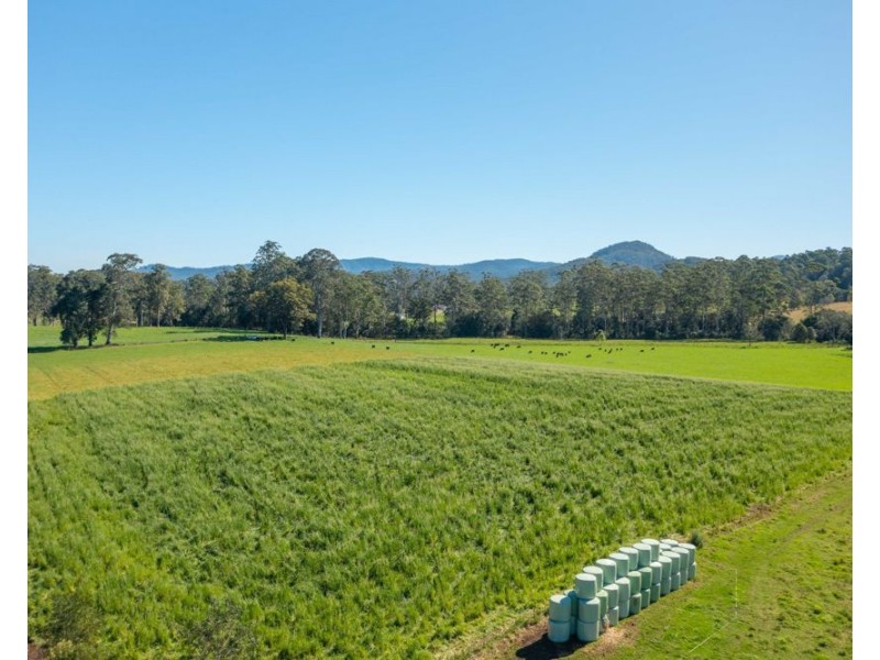 Rollands Plains NSW 2441