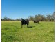 Rollands Plains NSW 2441