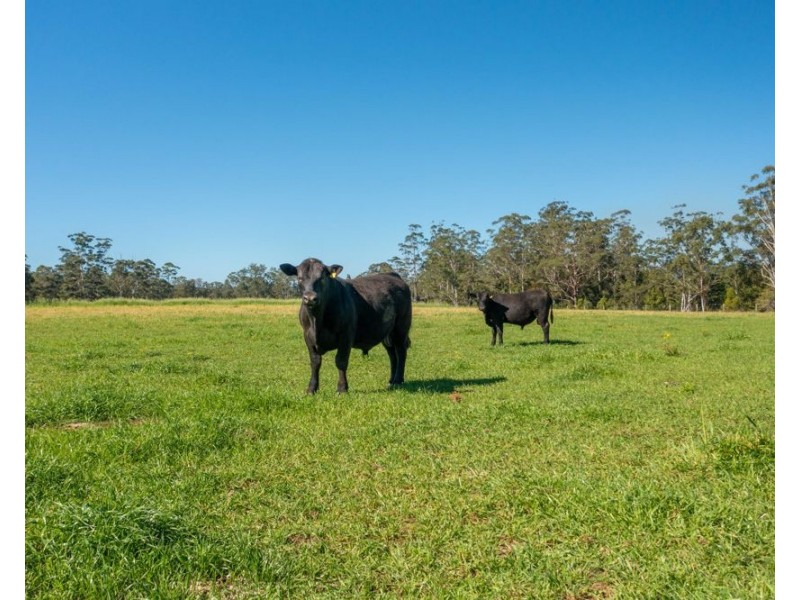 Rollands Plains NSW 2441