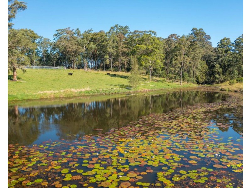 Rollands Plains NSW 2441