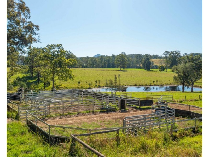 Rollands Plains NSW 2441