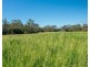 Rollands Plains NSW 2441