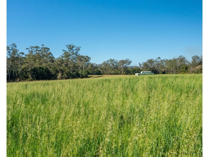 Rollands Plains NSW 2441