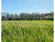 Rollands Plains NSW 2441