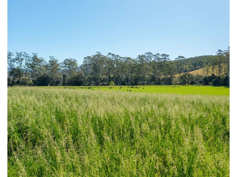 Rollands Plains NSW 2441