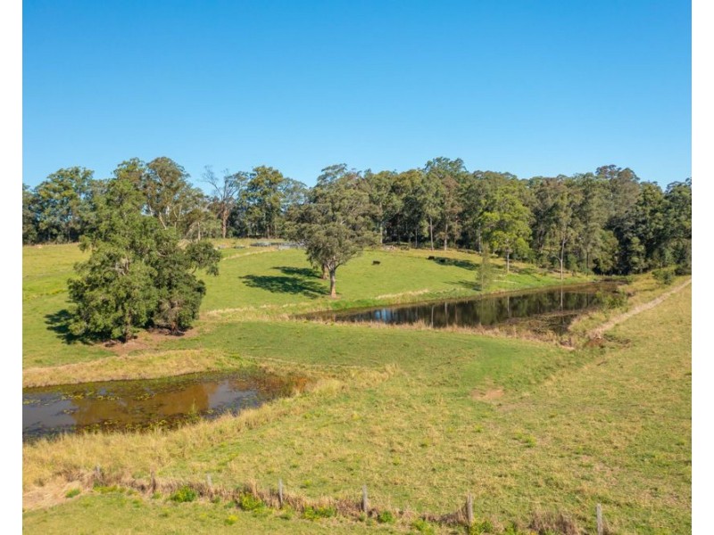 Rollands Plains NSW 2441