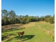 Rollands Plains NSW 2441