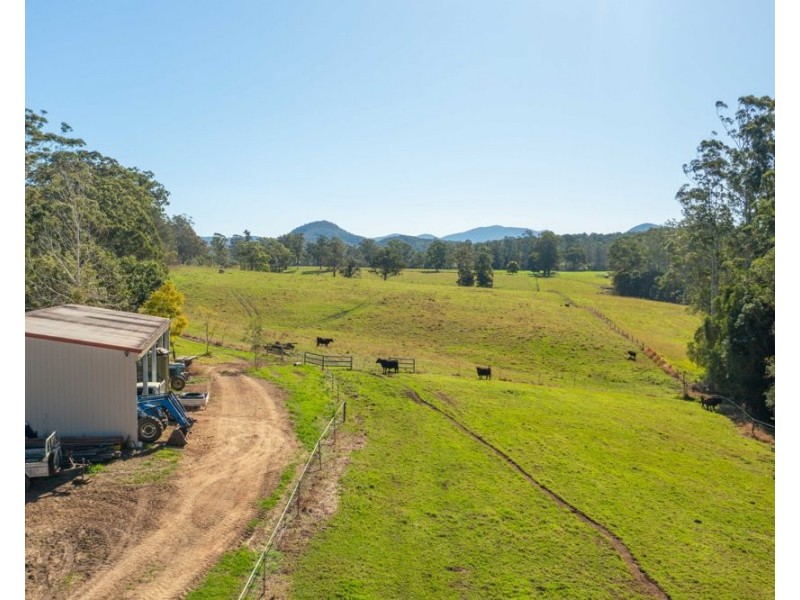 Rollands Plains NSW 2441