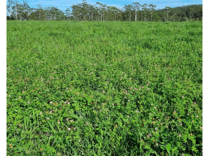 Rollands Plains NSW 2441