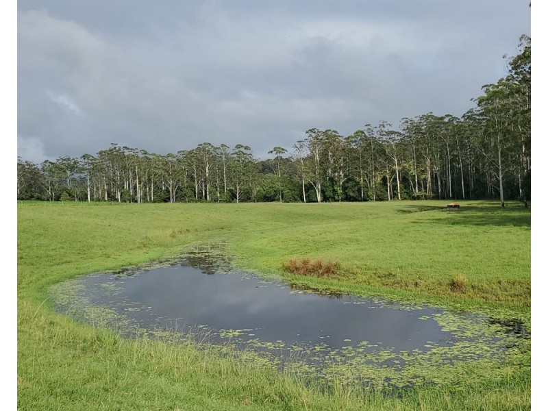 Rollands Plains NSW 2441