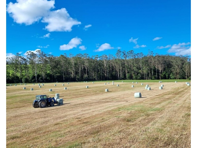 Rollands Plains NSW 2441