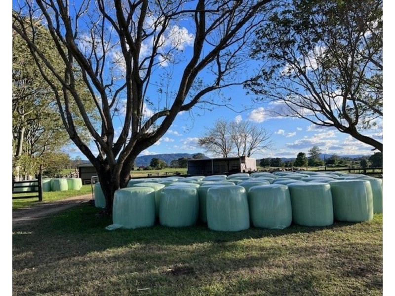 34 Carinya Road, Rosewood NSW 2446