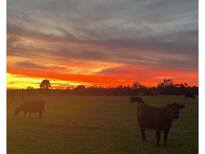 34 Carinya Road, Rosewood NSW 2446