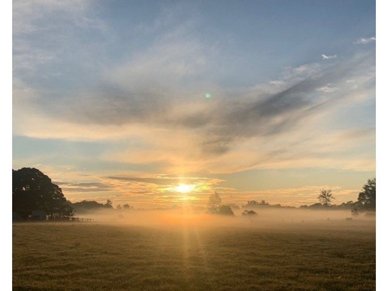 34 Carinya Road, Rosewood NSW 2446