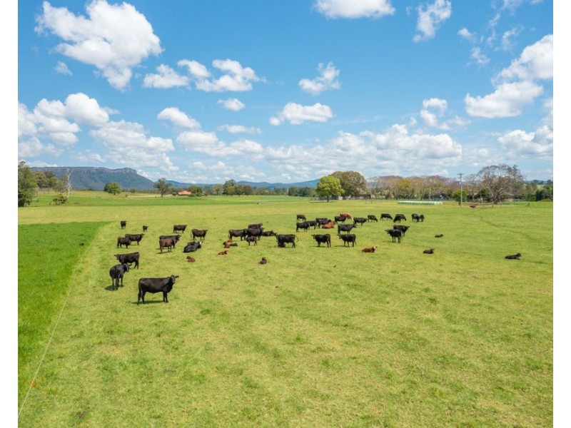 34 Carinya Road, Rosewood NSW 2446