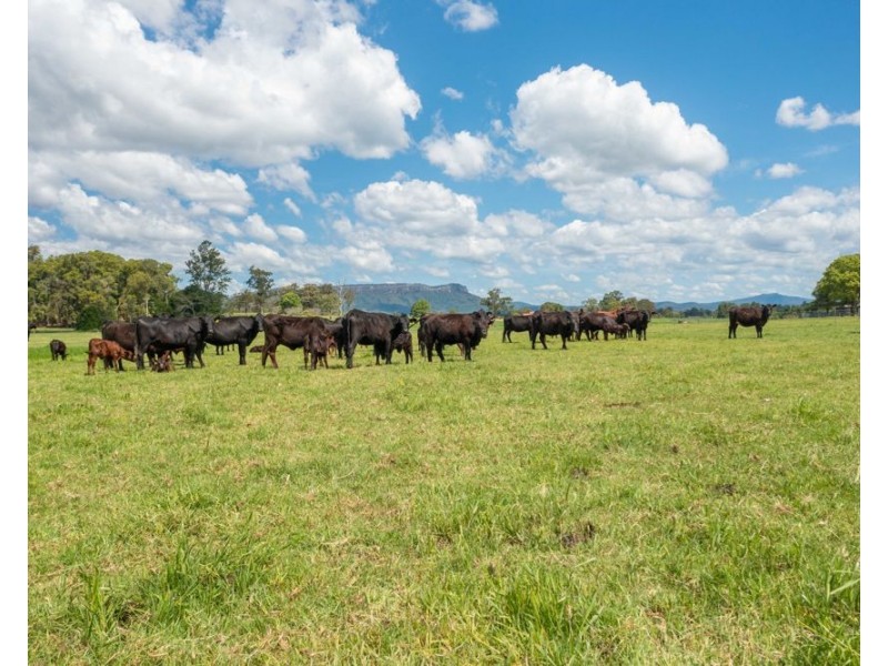 34 Carinya Road, Rosewood NSW 2446